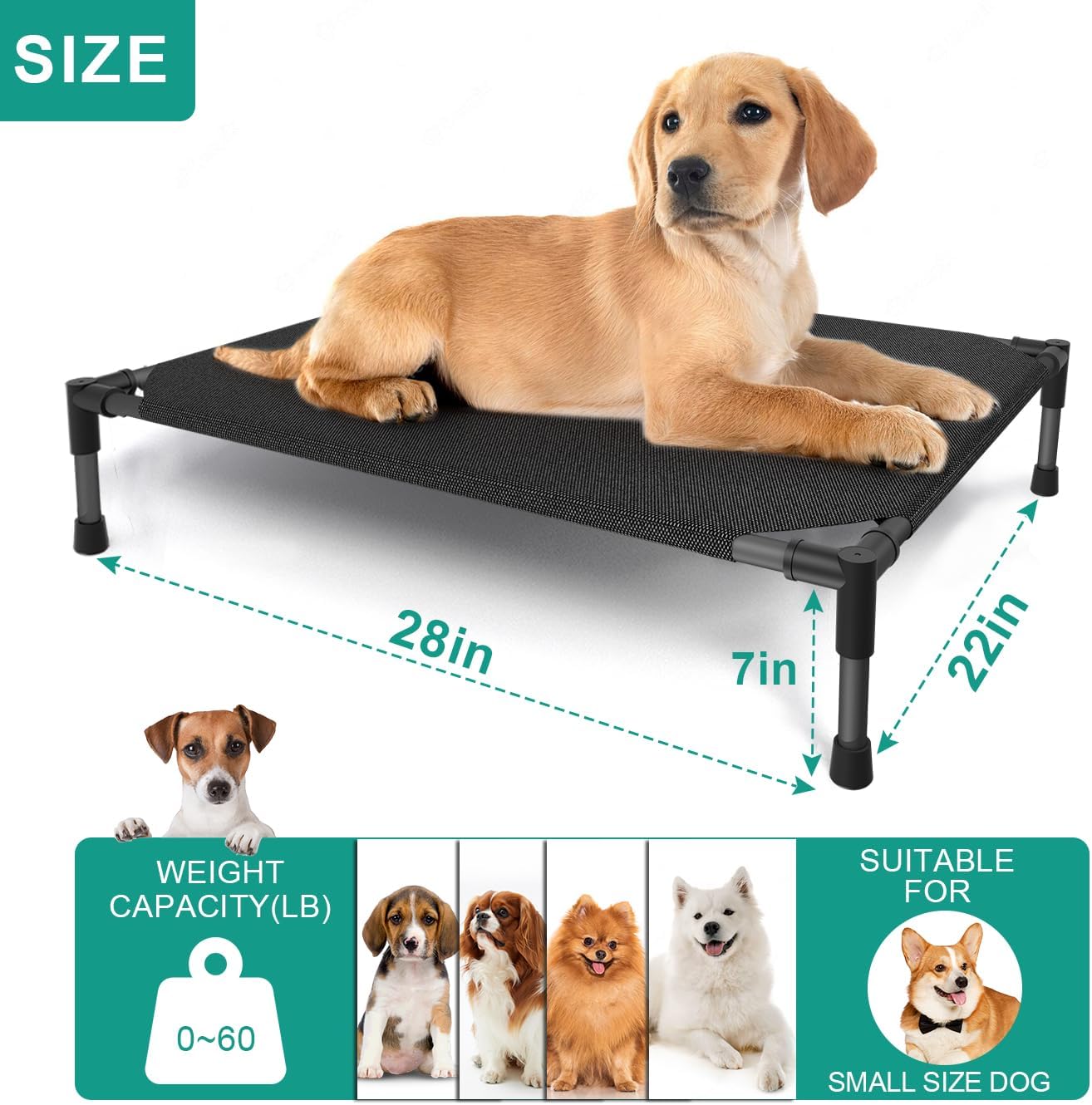 Medium Elevated Outdoor Dog Bed (32x25x8in) – Raised, Summer-Ready, Waterproof Dog Cot with Breathable Teslin Mesh, Durable Non-Slip Base, Portable Design, 80 lbs Capacity, Black