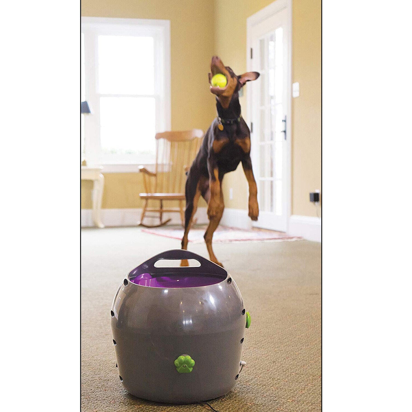 Petsafe Automatic Ball Launcher - Dog Outdoor Tennis Ball Thrower Pty19-15850