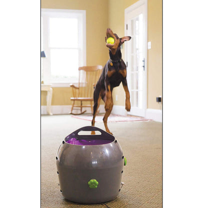 Petsafe Automatic Ball Launcher - Dog Outdoor Tennis Ball Thrower Pty19-15850
