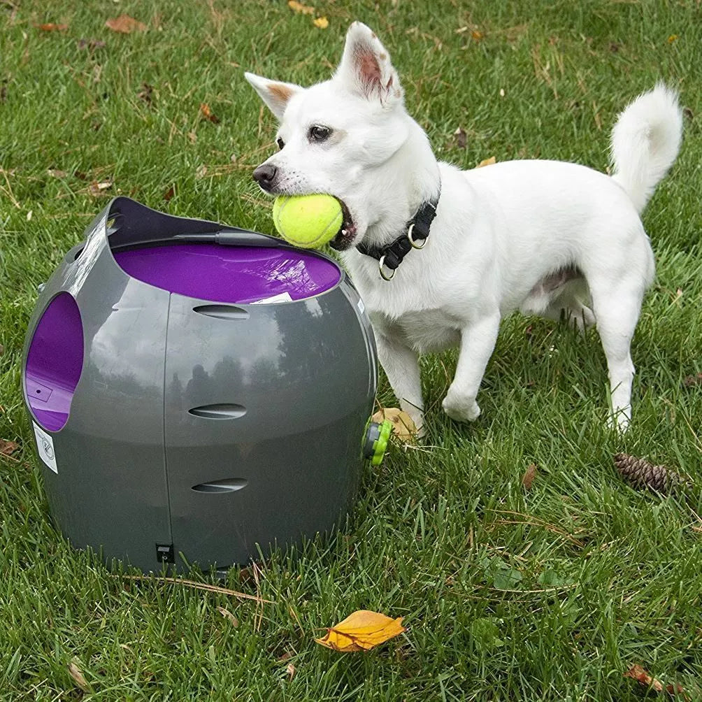 Petsafe Automatic Ball Launcher - Dog Outdoor Tennis Ball Thrower Pty19-15850