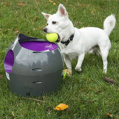 Petsafe Automatic Ball Launcher - Dog Outdoor Tennis Ball Thrower Pty19-15850